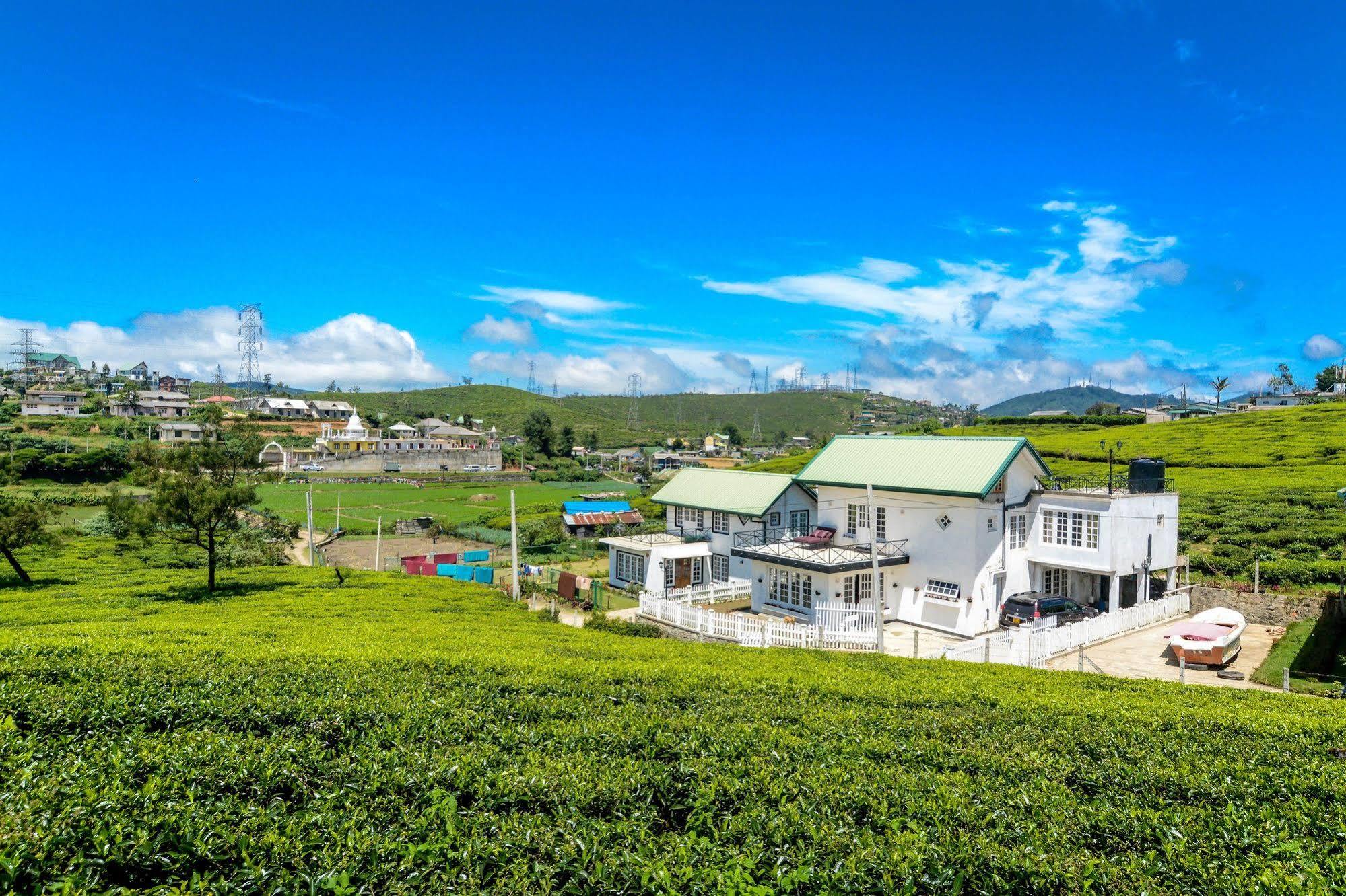 Villa Tea Fields Nuwara Eliya Exterior photo